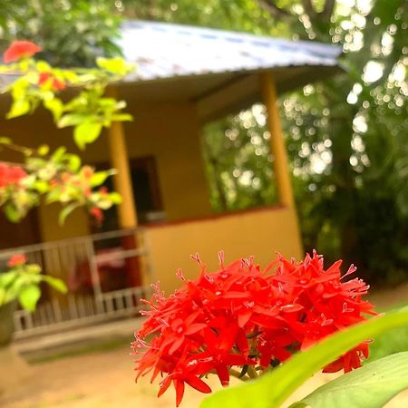 Yapahuwa Relax Stay Luaran gambar
